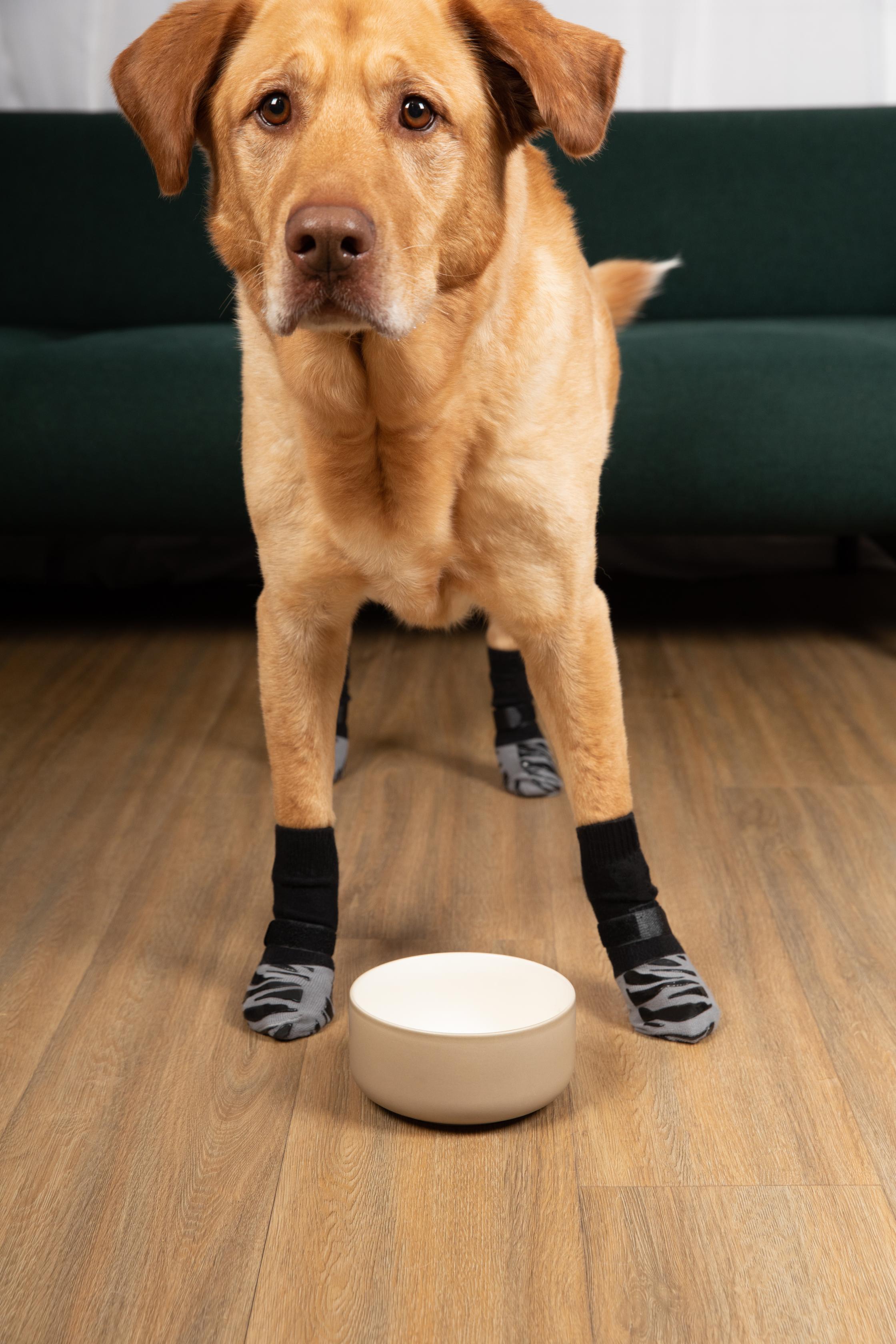 Dog socks online with velcro